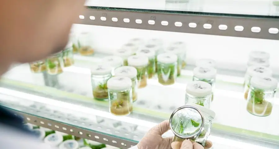 Qatar to build three new laboratories for veterinary and agricultural research
