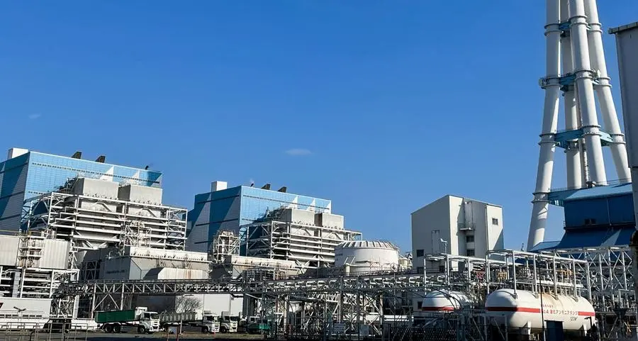 Japan could face potential power supply crunch in 2050, grid monitor says