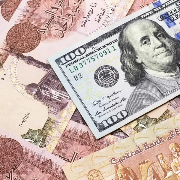 وزيرة التخطيط: مصر تستهدف جمع نحو 1.5 مليار دولار من الطروحات العام المقبل