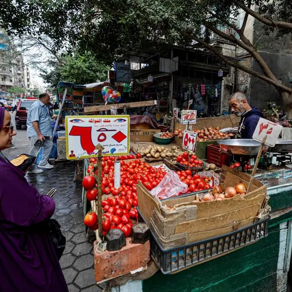 التضخم السنوي في المدن المصرية يتباطأ إلى 34.6% في نوفمبر