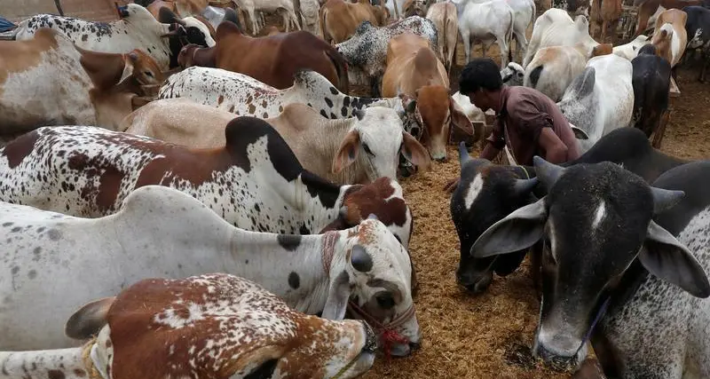 الجزائر توقع اتفاق مشروع مع بلدنا القطرية بـ 3.5 مليار دولار